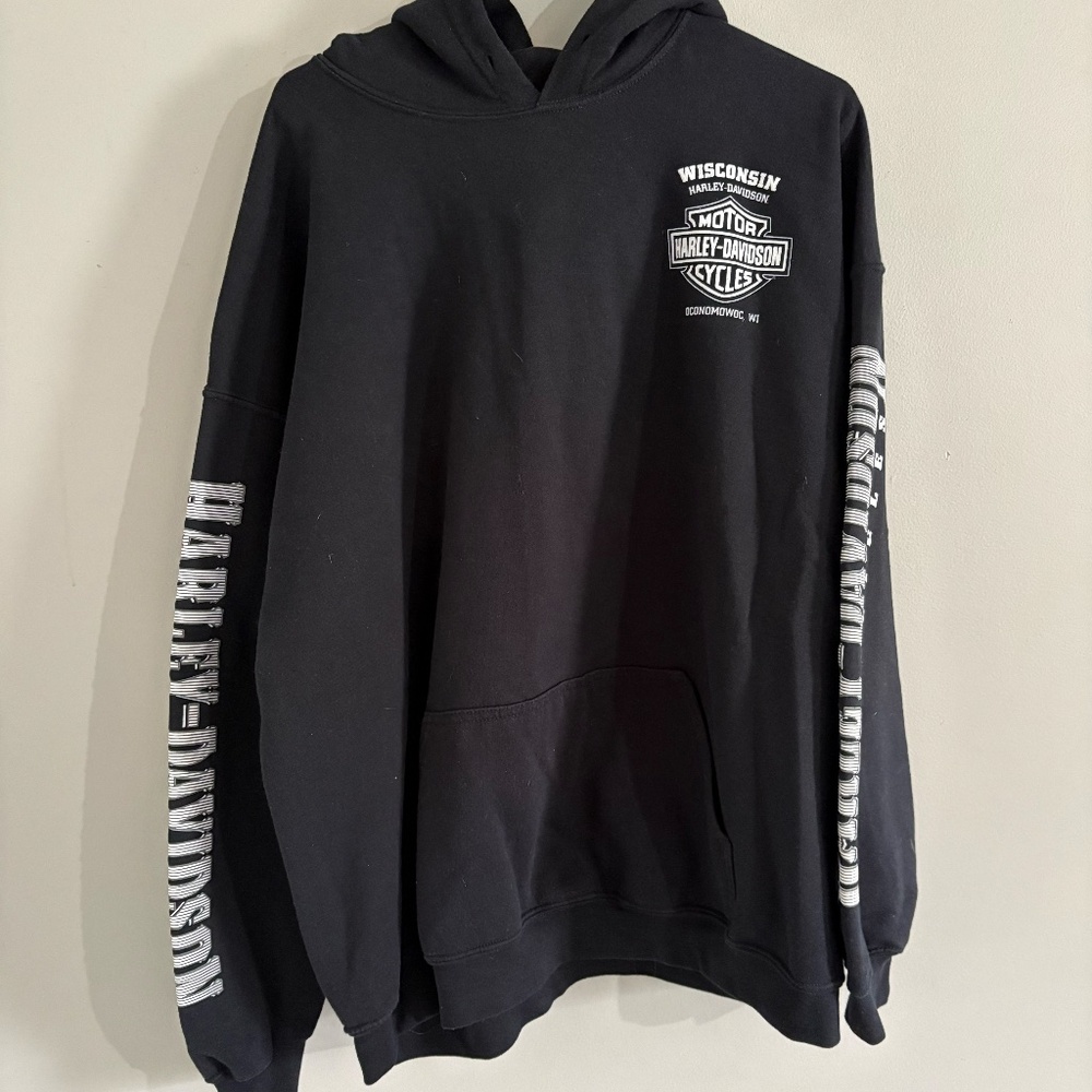 Harley-Davidson Men's Lightning Crest Pullover Hooded Sweatshirt - Picture 3 of 10